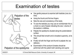 jock physical|Male Genitalia Examination .